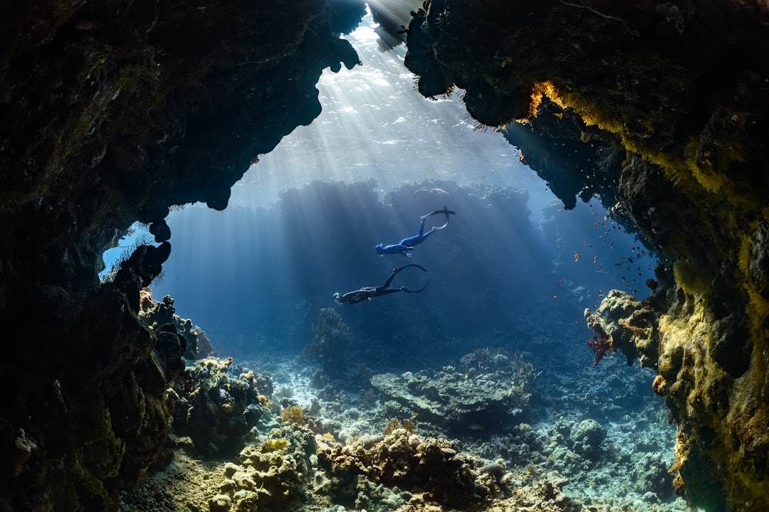 The Art of Outdoor Exploration: Finding Joy in the Unexpected